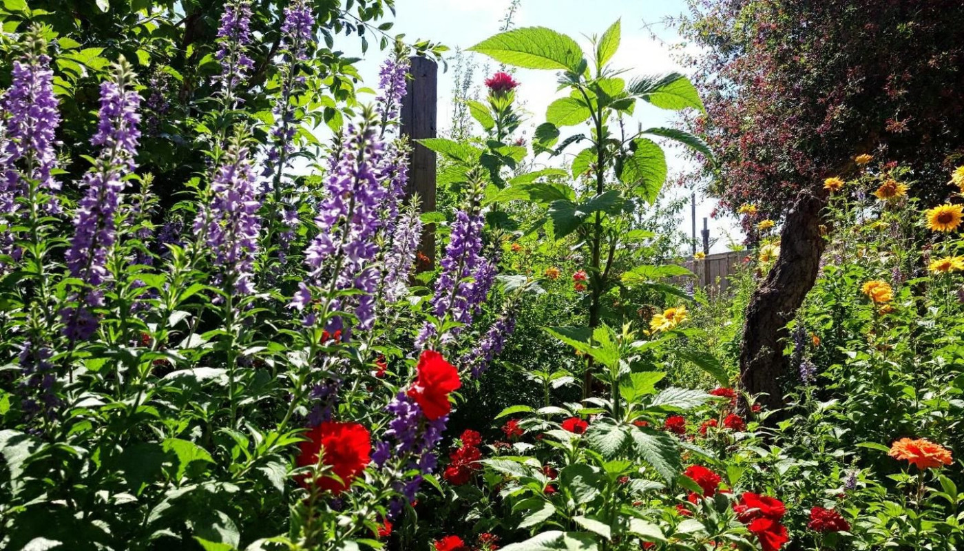 Comment les remèdes naturels peuvent compléter le traitement des infections urinaires ?